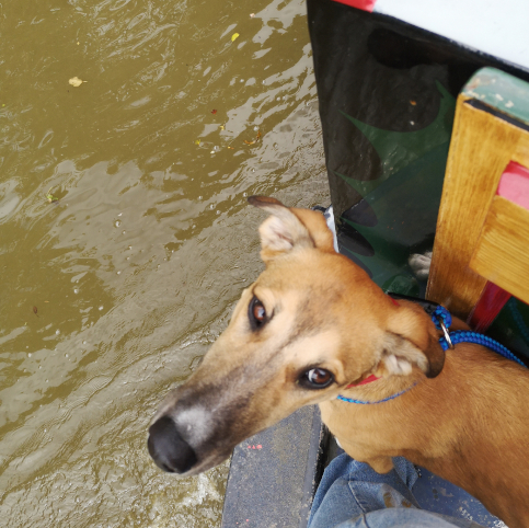 Boat Post 1